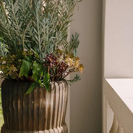 Maison Matilda - Boutique Treviso